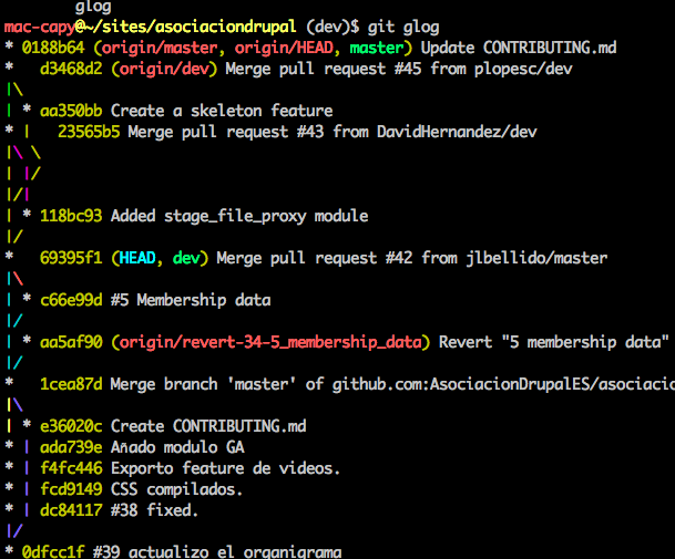 GIT console graphic log